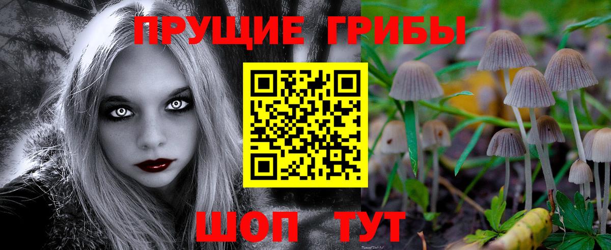 Псилоцибиновые грибы мухоморы  Вход с VPN  Валуйки  Псилоцибиновые грибы прущие грибы 
